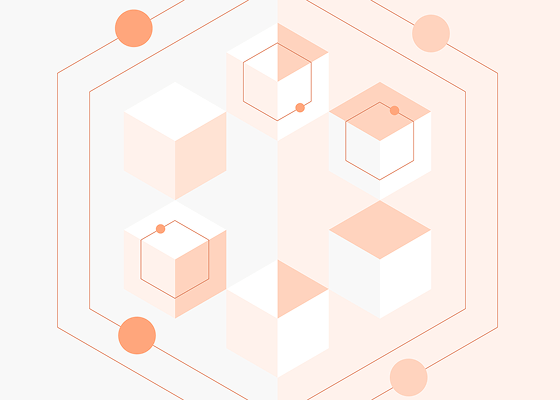 Hospital Information Management Systems